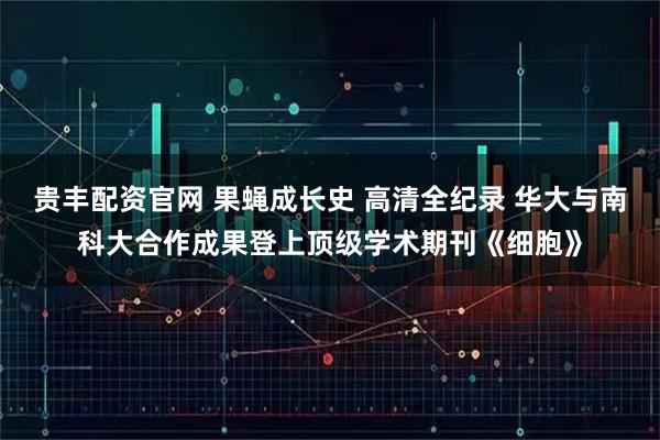 贵丰配资官网 果蝇成长史 高清全纪录 华大与南科大合作成果登上顶级学术期刊《细胞》