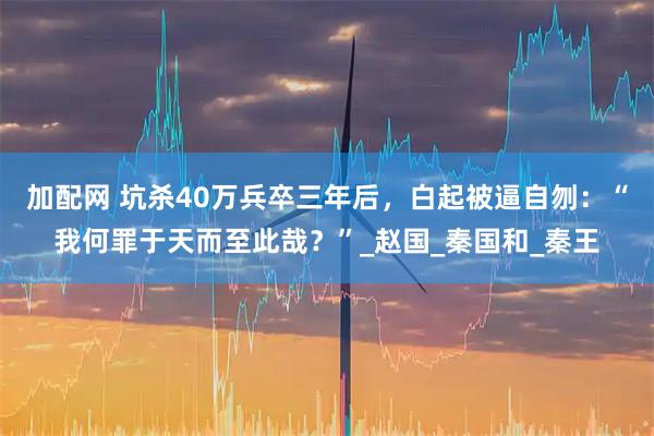 加配网 坑杀40万兵卒三年后，白起被逼自刎：“我何罪于天而至此哉？”_赵国_秦国和_秦王